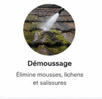 Démoussage de toiture